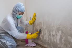 Best Biohazard Mold Removal  in Downingtown, PA